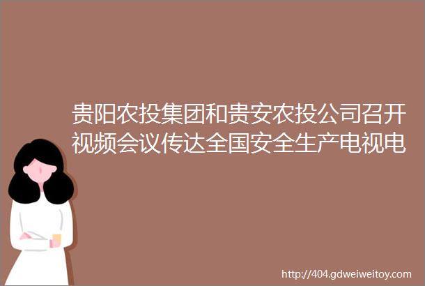 贵阳农投集团和贵安农投公司召开视频会议传达全国安全生产电视电话会议精神